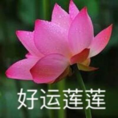 六道共主手游(暂未上线)v1.0 安卓版
